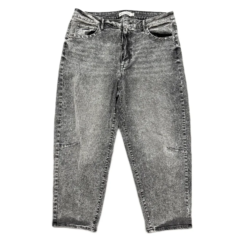 Stylish Men's JeansJeans Designer By Rebecca Minkoff In Grey, Size: 16