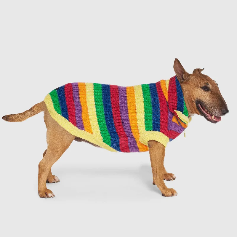 Men's Sweaters for Winter SportsOver The Rainbow Sweater